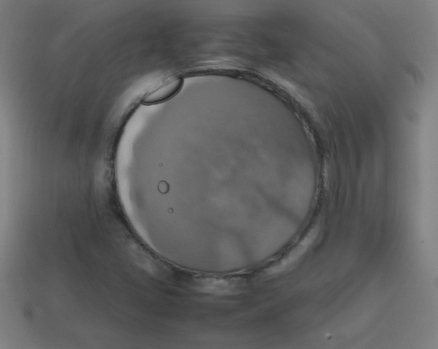 X0000113781405200910211155