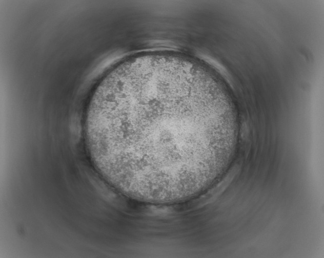 X0000113781407200910211155