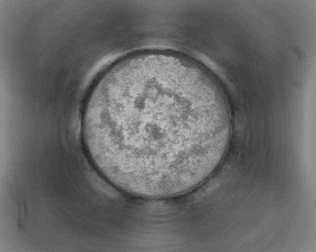 X0000113781408200910211155