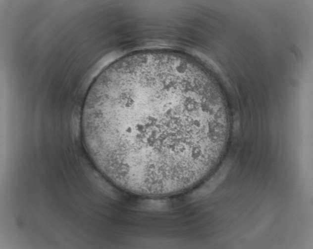 X0000113781409200910211155