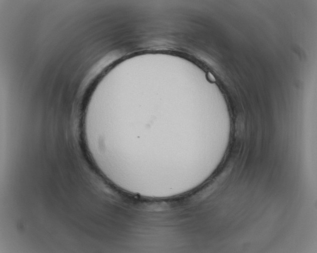 X0000113781410200910211156