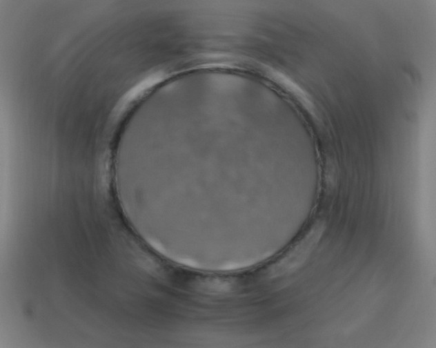 X0000113781411200910211156