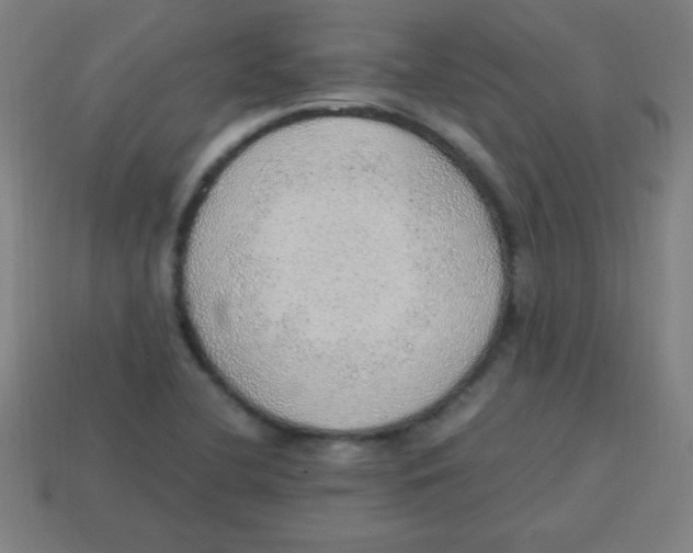 X0000113781412200910211156