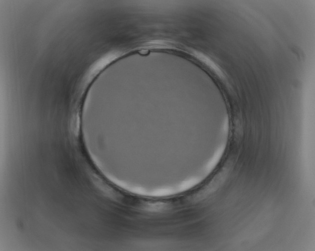 X0000113781413200910211156