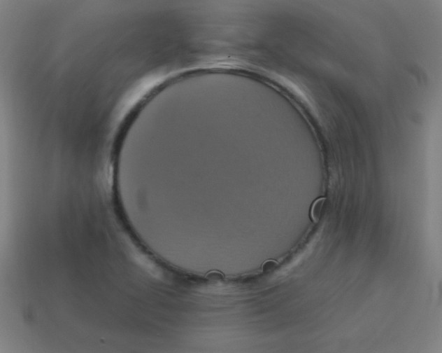 X0000113781414200910211156