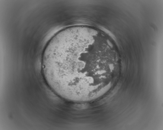 X0000113781415200910211156