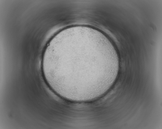 X0000113781416200910211156