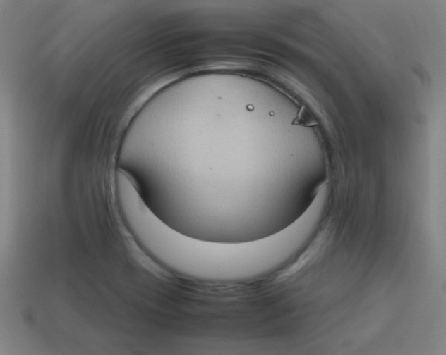 X0000113781417200910211156