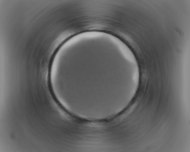 X0000113781418200910211156