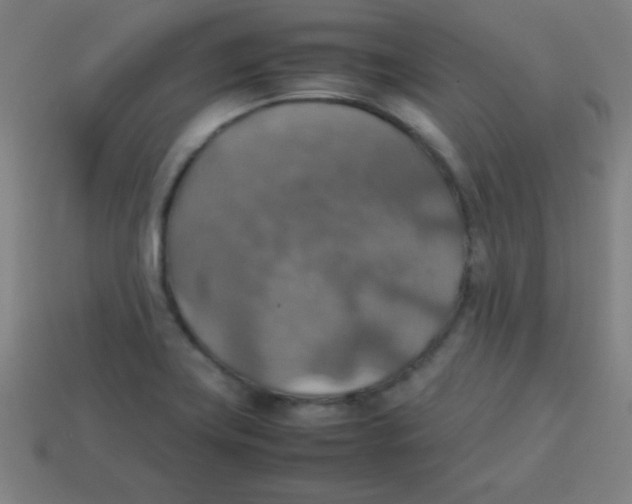 X0000113781419200910211156