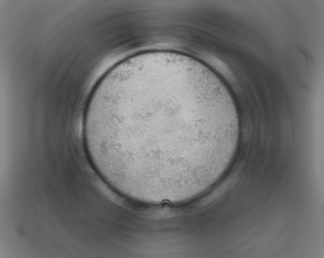 X0000113781420200910211156