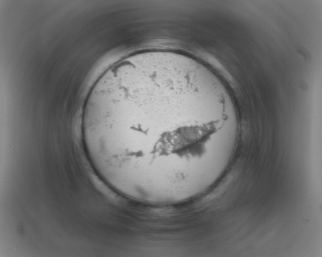 X0000113781421200910211156