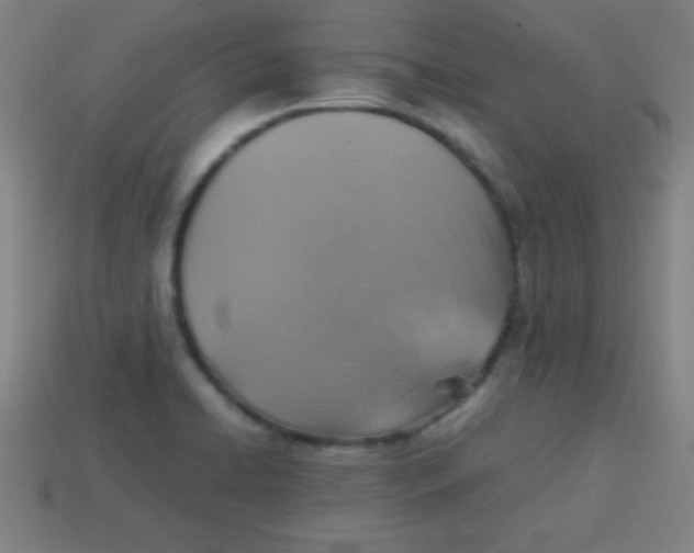 X0000113781422200910211156