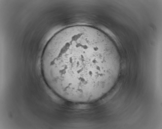 X0000113781423200910211156