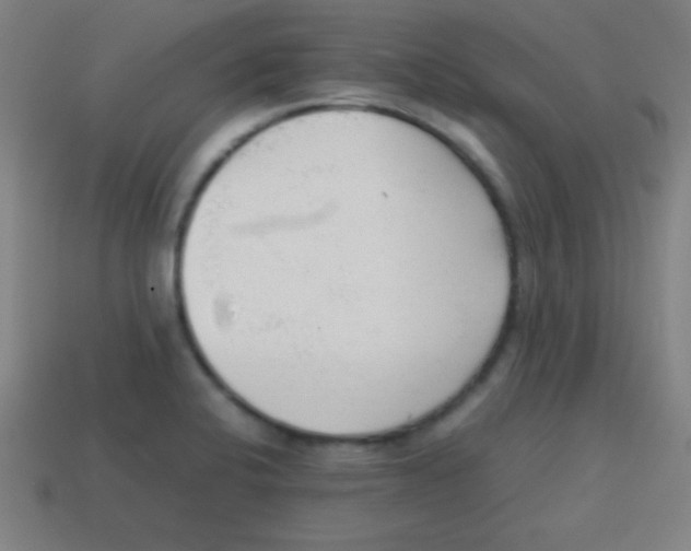 X0000113781424200910211156