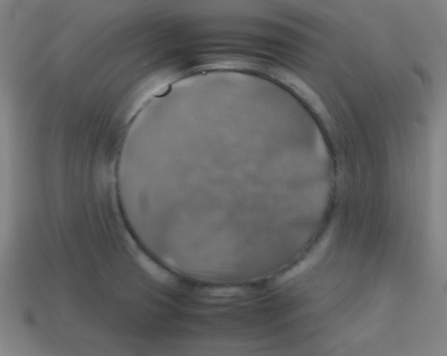 X0000113781425200910211156