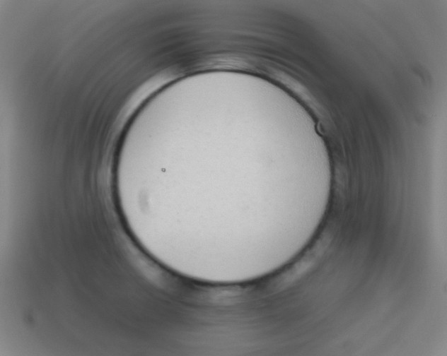 X0000113781426200910211156