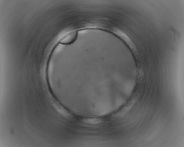 X0000113781427200910211156