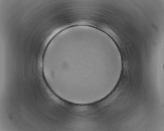 X0000113781428200910211156