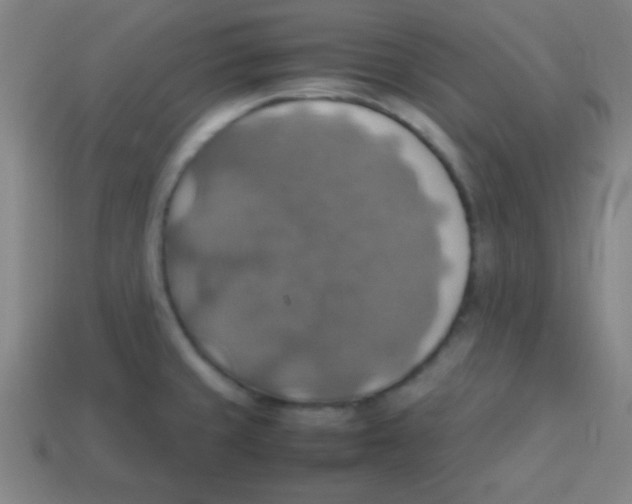 X0000113781429200910211156