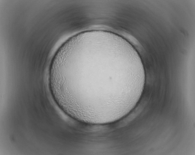 X0000113781430200910211156