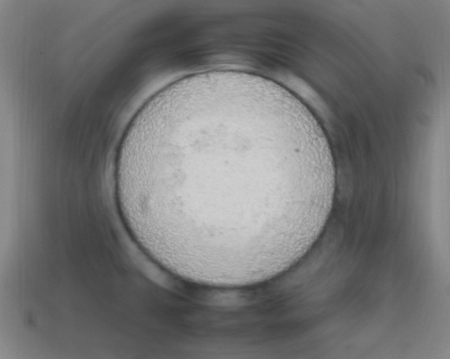 X0000113781431200910211156