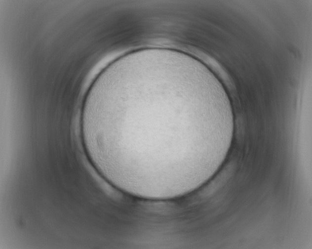 X0000113781432200910211156