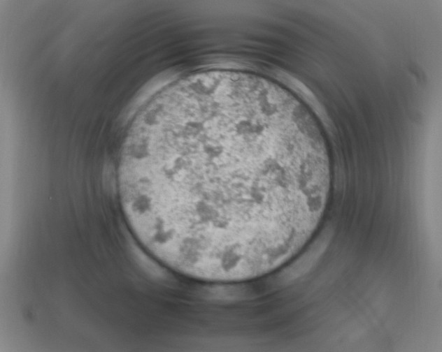 X0000113781433200910211156