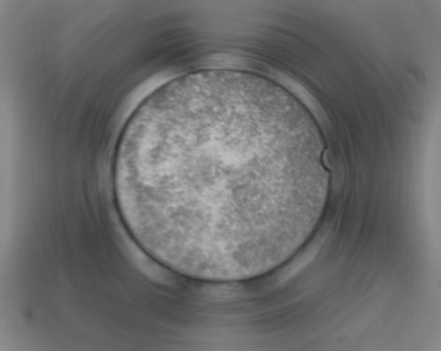 X0000113781434200910211156