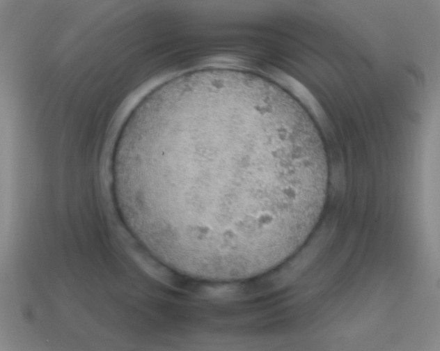 X0000113781435200910211156