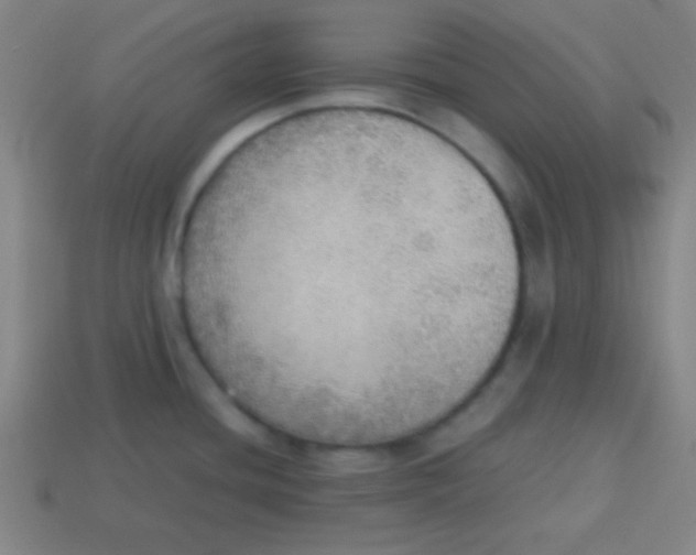 X0000113781436200910211156