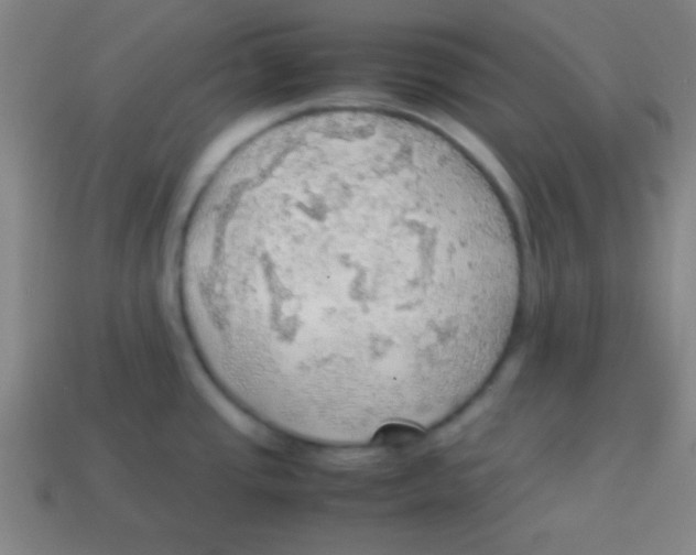 X0000113781437200910211156