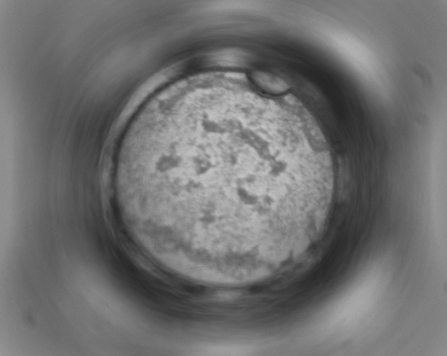 X0000113781438200910211156