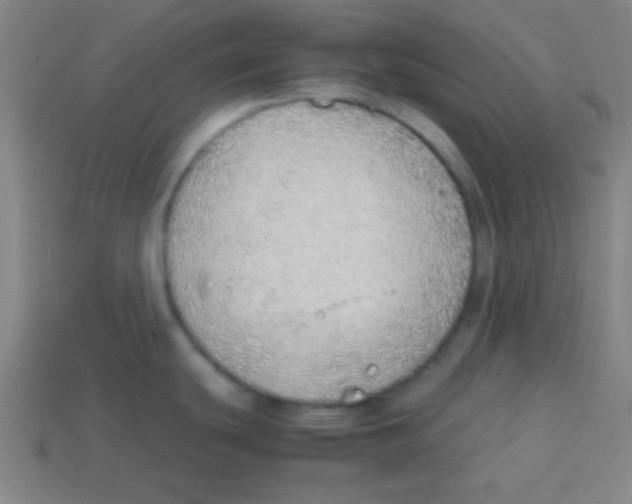 X0000113781439200910211156