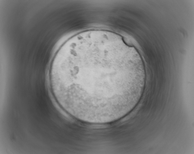 X0000113781440200910211156