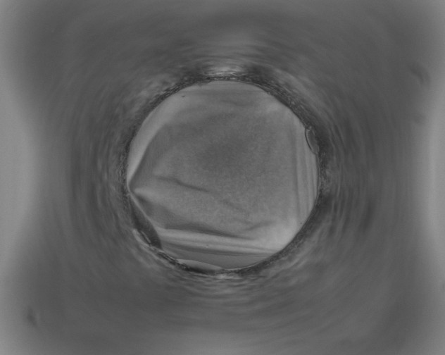 X0000113781441200910211155