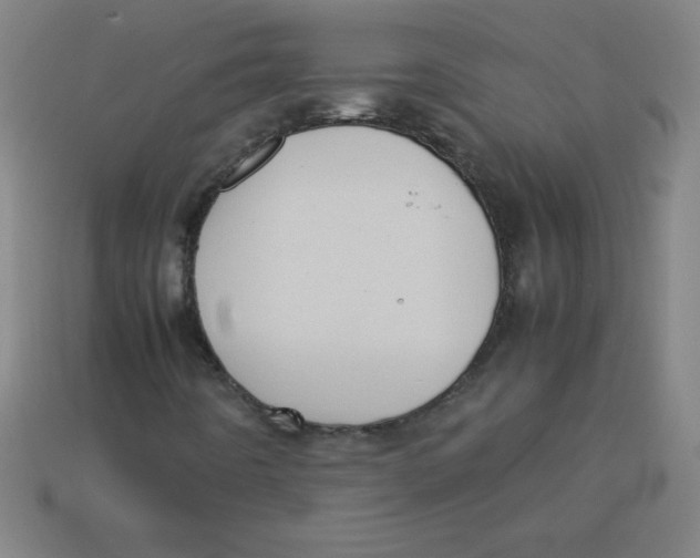 X0000113781442200910211155