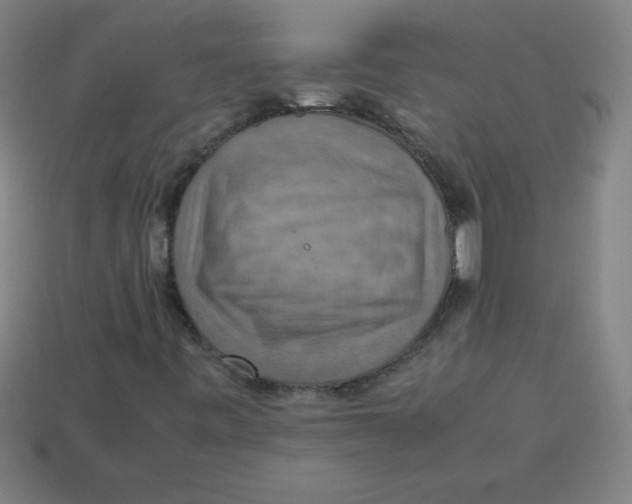 X0000113781443200910211155