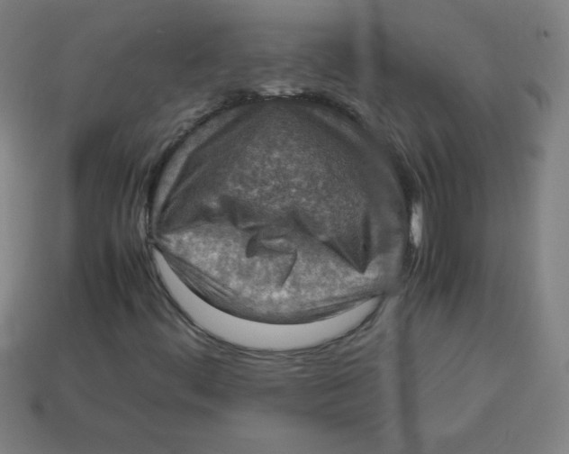 X0000113781444200910211155