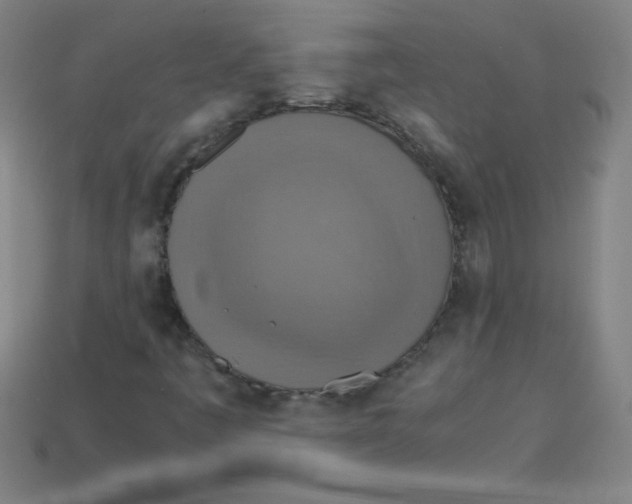 X0000113781445200910211155