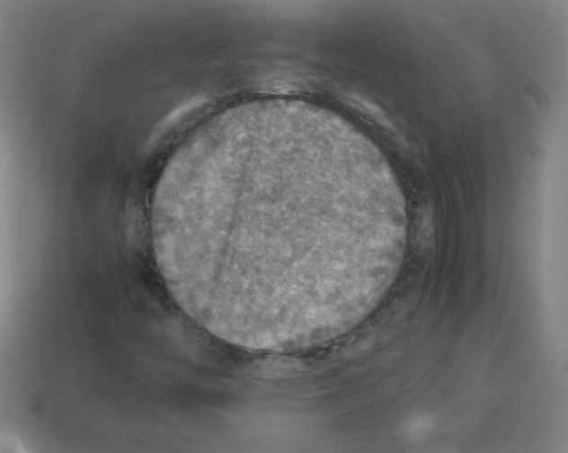 X0000113781446200910211155