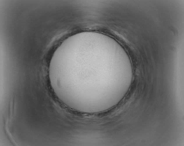 X0000113781447200910211155