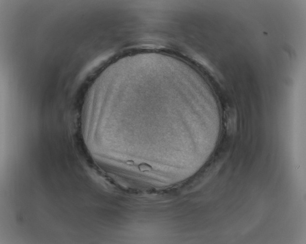 X0000113781448200910211155