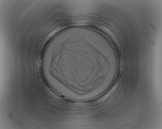 X0000113781449200910211155