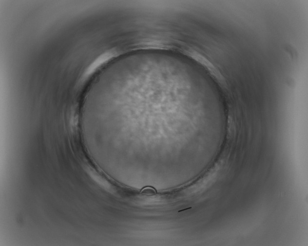 X0000113781450200910211155