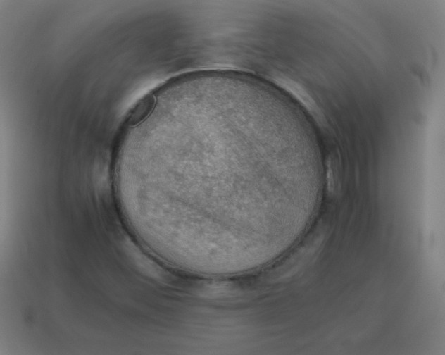 X0000113781452200910211155