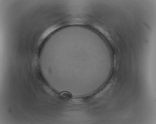 X0000113781453200910211155