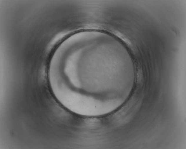 X0000113781454200910211155