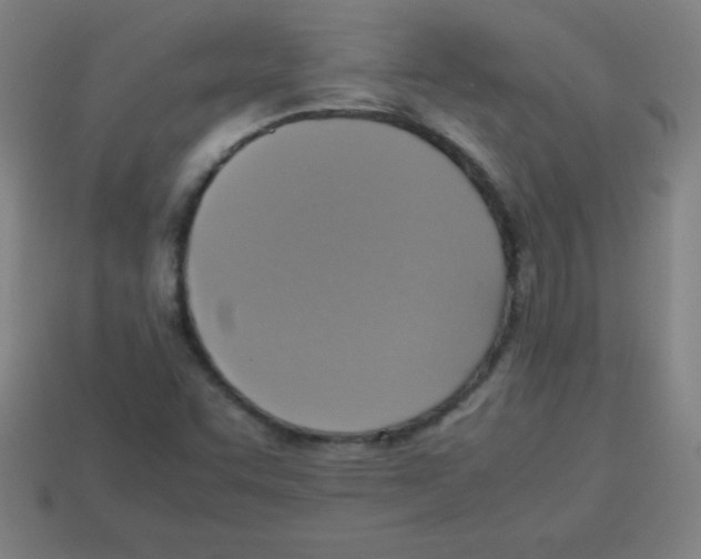 X0000113781455200910211155