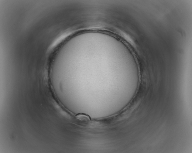 X0000113781456200910211155